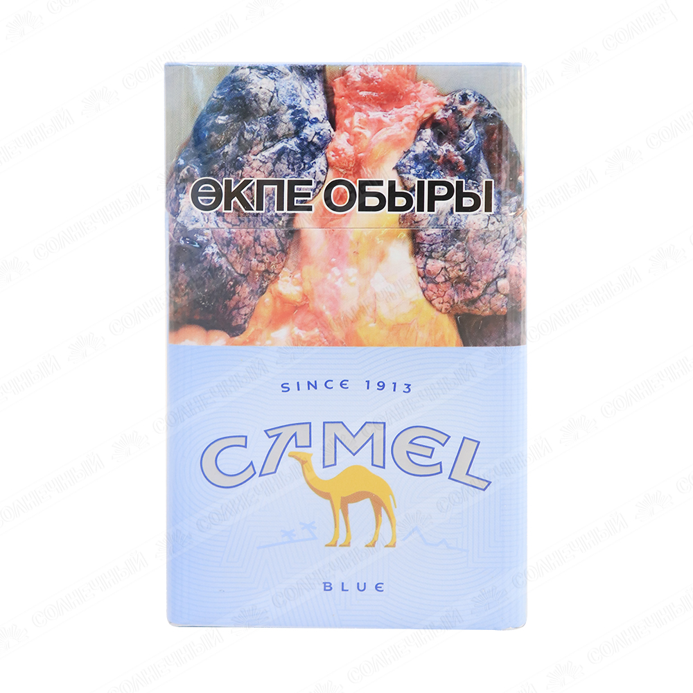 Camel Blue