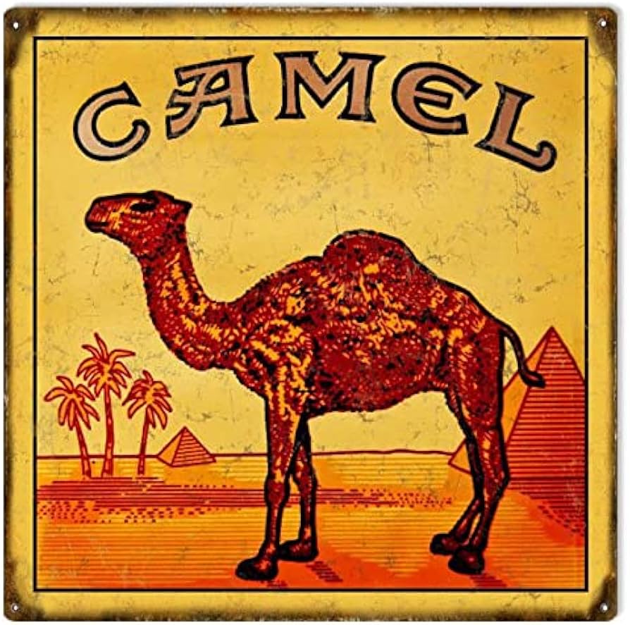 Camel