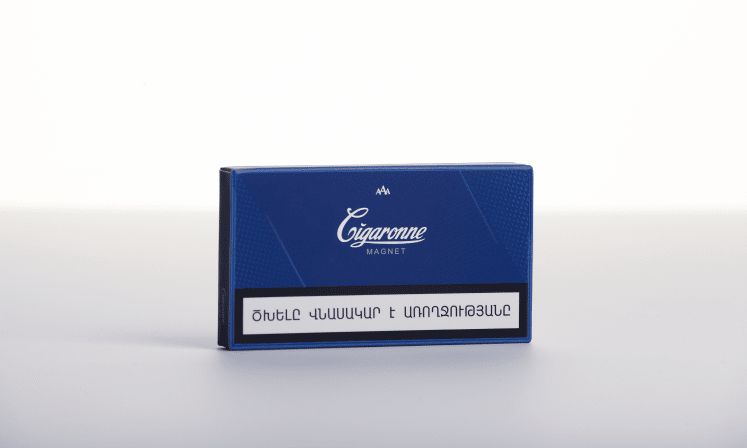 Magnet